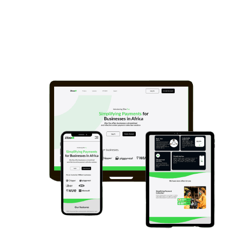 Ziba Pay Website